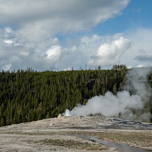 DSC_1986.jpg