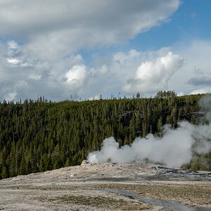 DSC_1987.jpg