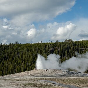DSC_1992.jpg