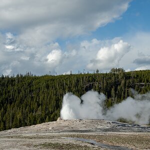 DSC_1993.jpg