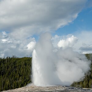 DSC_2010.jpg