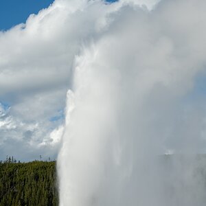 DSC_2040.jpg