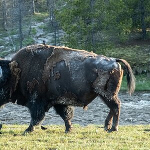 DSC_2072.jpg