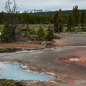 DSC_2087.jpg