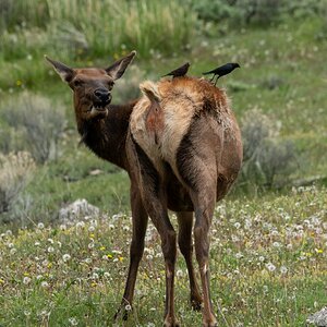 DSC_2218.jpg