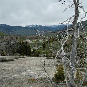 DSC_2243.jpg