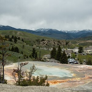 DSC_2256.jpg