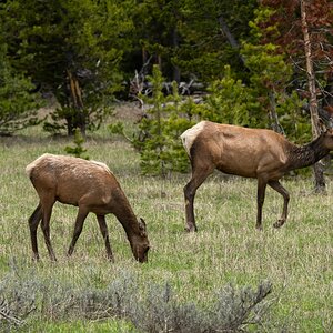 DSC_2882.jpg