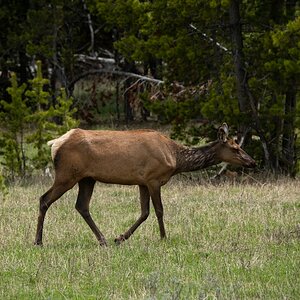 DSC_2884.jpg