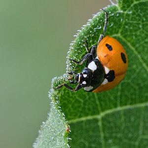 OF5_23129.jpg