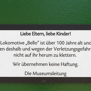 Bello ist müde.jpg