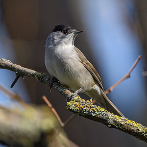 F52_0477.jpg