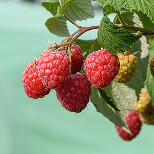 OF5_23168.jpg