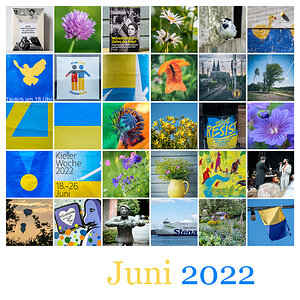 365 | 2022 Mosaik Juni