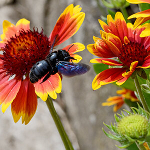 OF5_22906.jpg