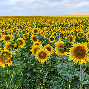 OF2_56970.jpg
