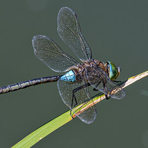 OF5_22976.jpg