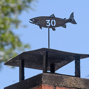 OF5_22961.jpg