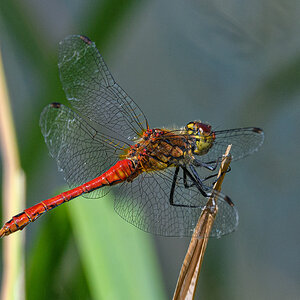 OF5_22968.jpg