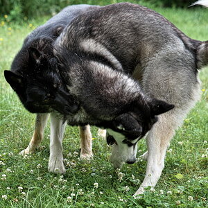 DFX_9262.jpg
