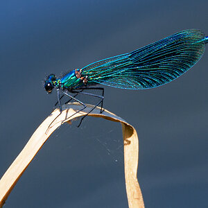 OF5_23458.jpg