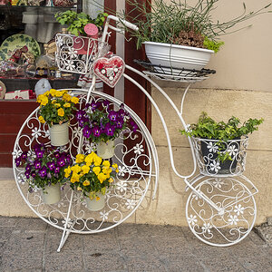 Zagreb Blumenfahrrad.jpg