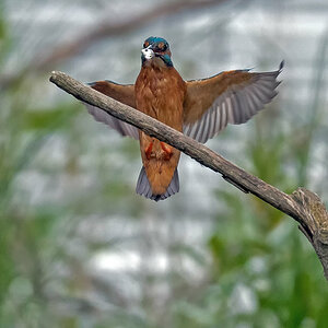 D50_9399_Landeanflug mt Fisch_5_2022.jpg