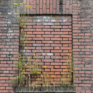 20220617-D50_4716-2.jpg