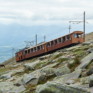 _DSC4064.jpg