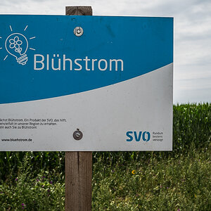 Blühstrom (1 von 1).jpg