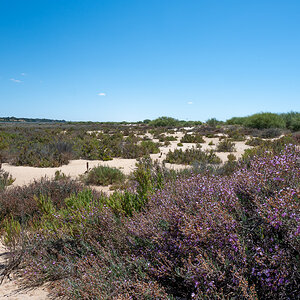305_20220624-NZ6_0377.jpg