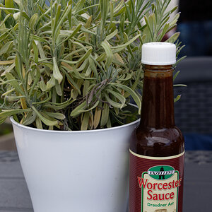 Worcester Sauce.jpg