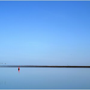 comp_DSC_7883_01.jpg