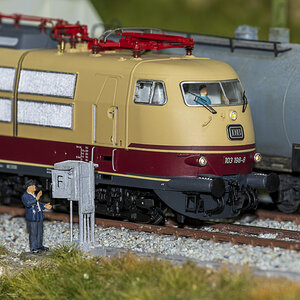 _Z7F1804-.JPG