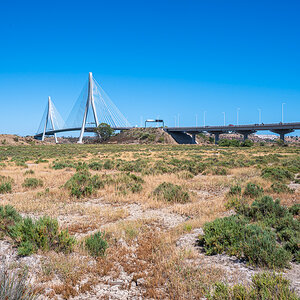 20220625-NZ6_1282.jpg