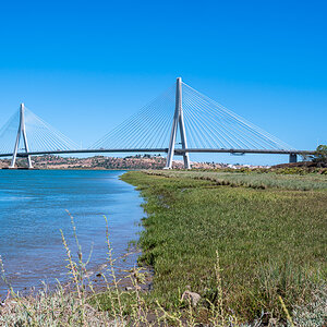 20220625-NZ6_1286.jpg