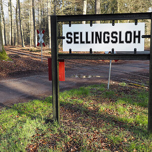Sellingsloh.jpg