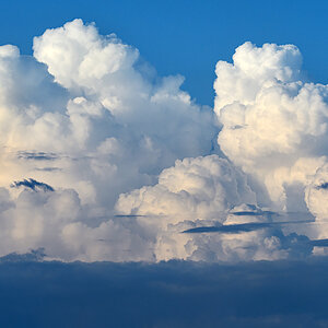 OF5_23875.jpg