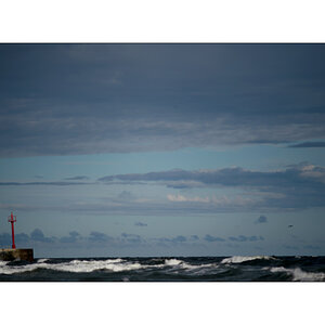 PolenD4F_2539.jpg