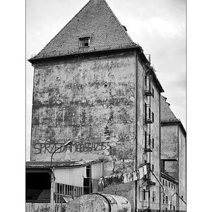PolenDSC_3650.jpg