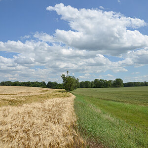 OF-14463.jpg