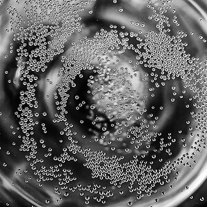 Prost 1 (1 von 1).jpg