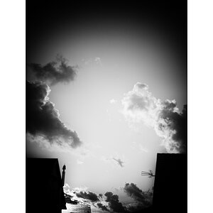 PolenDSC_3627.jpg