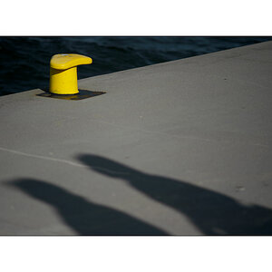 PolenD4F_2545.jpg