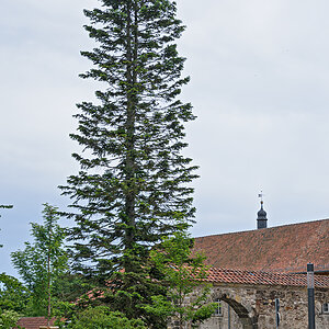 OF2_56362.jpg