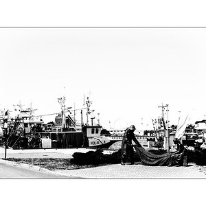 PolenD4F_2629.jpg