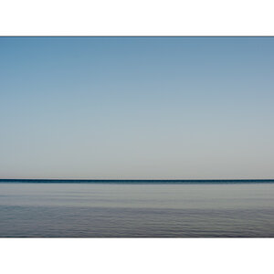 PolenD4F_2877.jpg