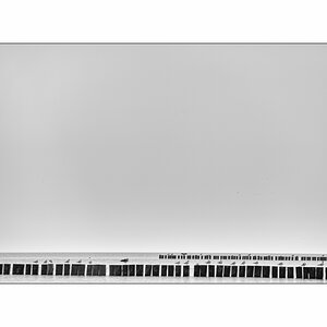 PolenD4F_2879.jpg