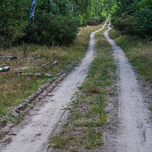 Sandweg-.jpg
