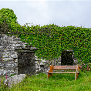 DZ7_5533.jpg
